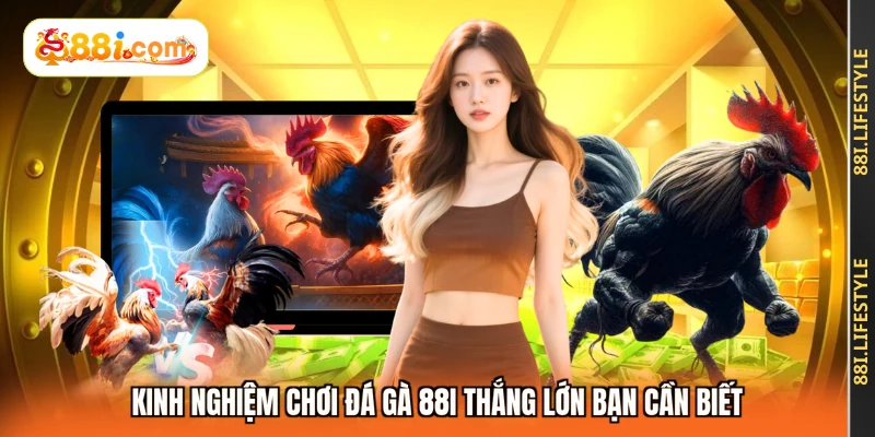 Kinh nghiệm chơi đá gà 88I thắng lớn bạn cần biết