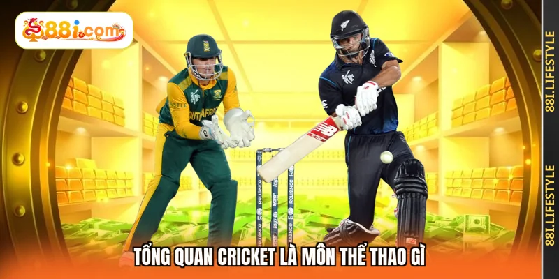 Tổng quan Cricket là môn thể thao gì